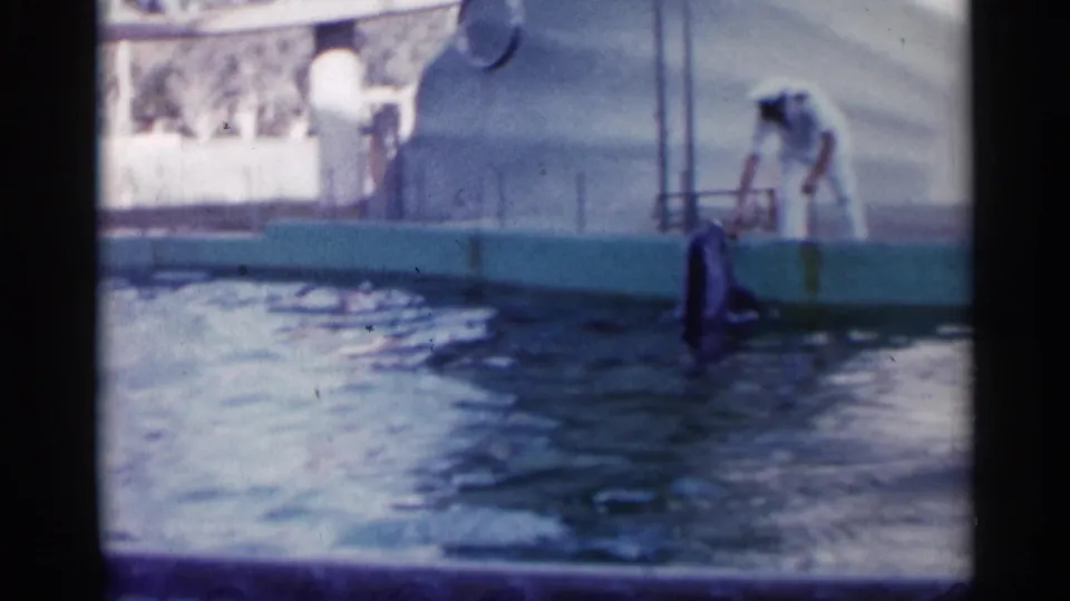 The dolphin rises close to the blue-green pool wall while the white-uniformed keeper stands by the platform in the 1958 Alabama footage.