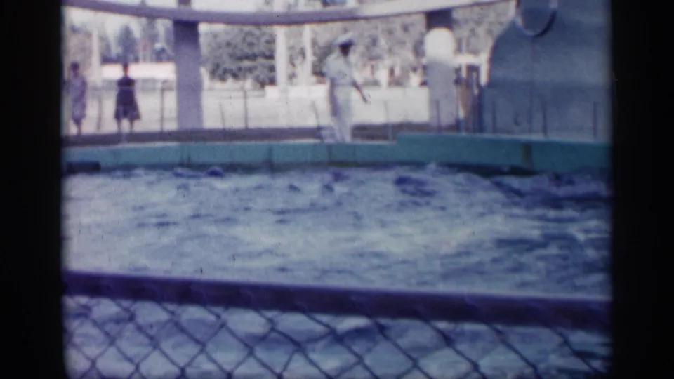 1958 Alabama home-movie view across a dolphin pool, with a white-uniformed trainer supervising near the platform and distant visitors or staff beyond the railings.