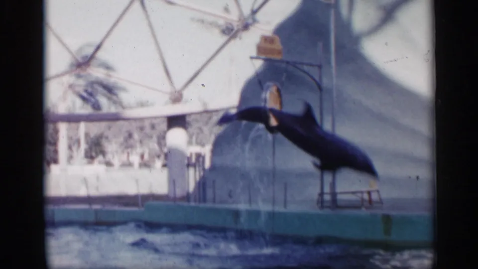 1958 Alabama frame capturing a dolphin mid-leap beside the pool platform, with a trainer and dome-like structure visible in the marine show setting.