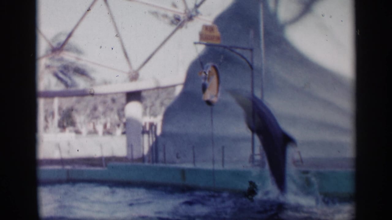 1958 Alabama home-movie frame with a dolphin rising from the water toward a suspended hoop inside a dome-like pool enclosure.