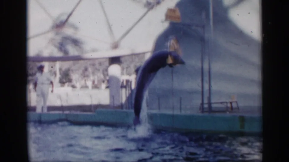 1958 Alabama 8mm frame showing the dolphin mid-leap above the pool, with hoop equipment and dome framework in the background.