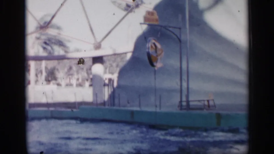 1958 Alabama frame showing the enclosed pool, hoop apparatus, turquoise edge, and rock backdrop after the dolphin has passed through the action.