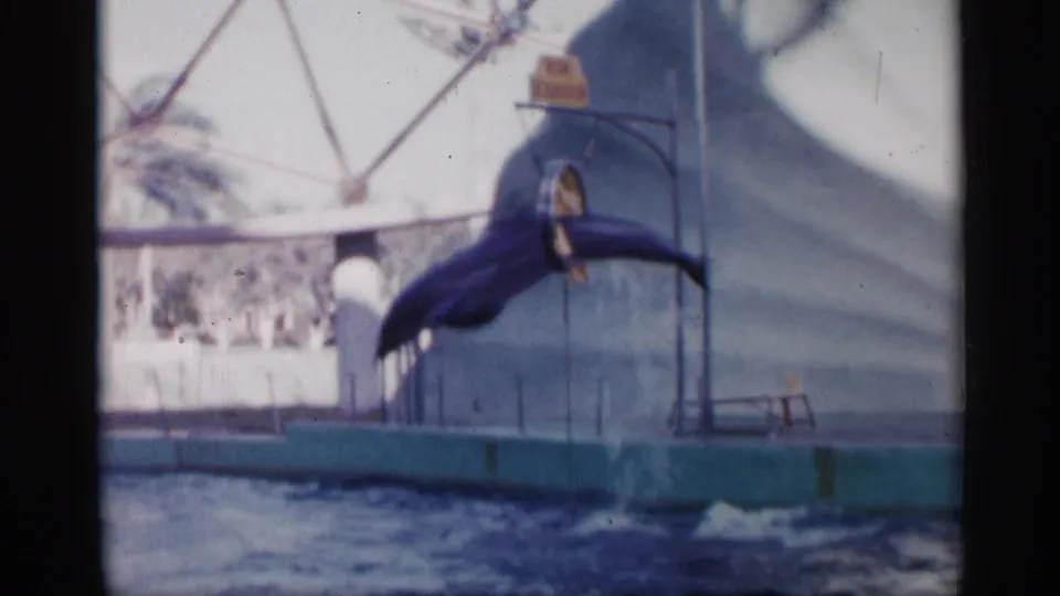 1958 Alabama 8mm frame showing a dolphin jumping near a hoop at a poolside marine performance area.