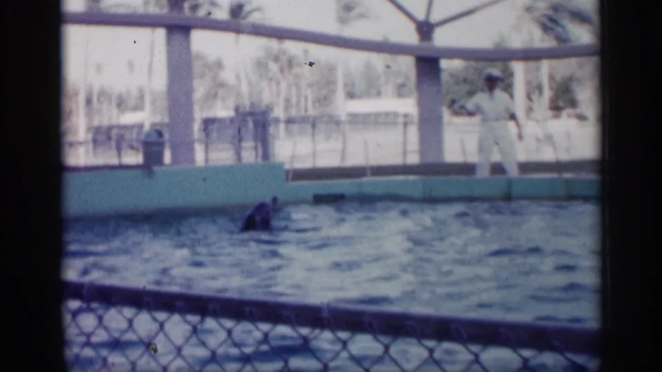 A trainer in a white uniform stands at poolside as a dolphin swims in a 1958 Alabama marine show scene.