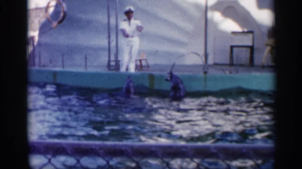 Two dolphins surface near the pool edge while the white-uniformed trainer directs the act in Alabama home-movie footage.