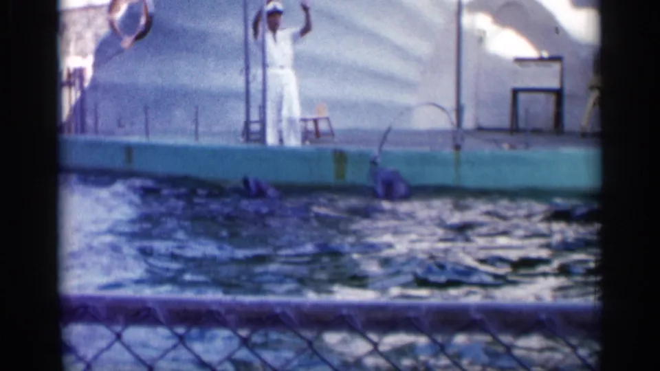 The trainer raises an arm above the pool while dolphins surface below in a faded 1958 Alabama 8mm frame.
