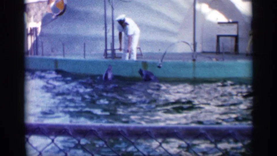 Visitor-shot Alabama marine park footage shows a trainer leaning toward dolphins beside the pool platform in 1958.