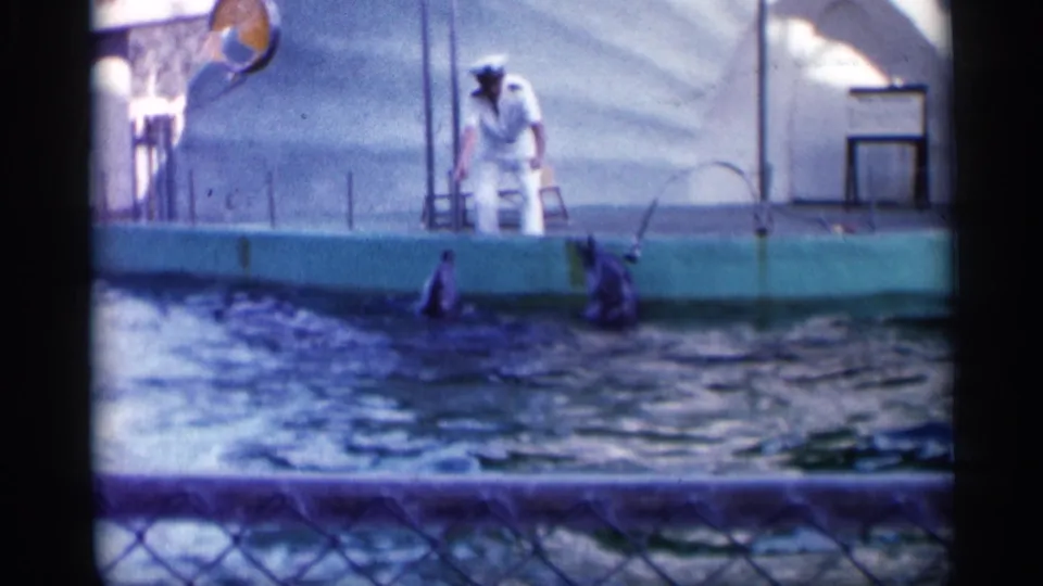 The closing frame shows a white-uniformed trainer above two dolphins in a 1958 Alabama marine park pool scene.