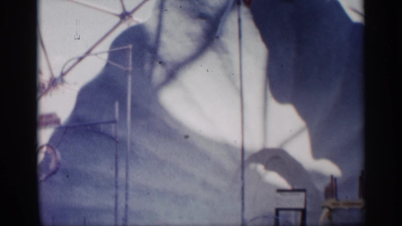 Painted marine backdrop with dolphin shape near a show pool, partly obscured by film softness and frame edge.