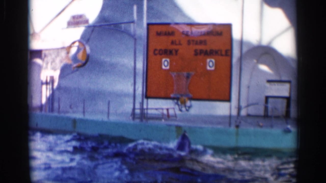 1958 home-movie frame of a dolphin-show pool with an orange Corky and Sparkle scoreboard and basketball hoop at the Miami Seaquarium setting.