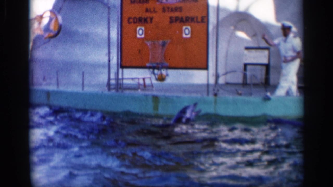 A trainer in a white uniform stands at the pool edge during the dolphin basketball routine, with the scoreboard and hoop behind.