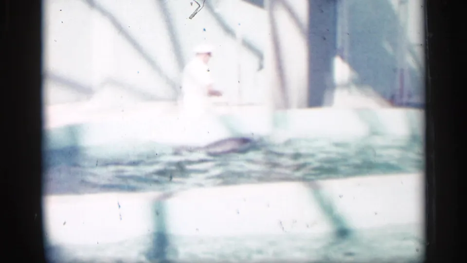 Brightly exposed 8mm frame showing a dolphin near the pool surface with a trainer shape and pool structure softened by glare.
