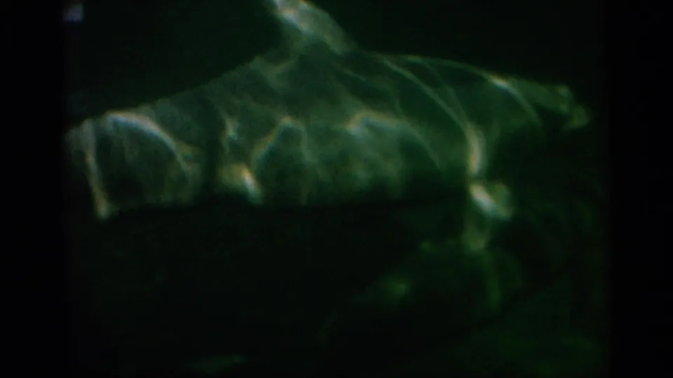 Underwater 8mm view of a dolphin swimming below the surface, with low light and green-blue water obscuring detail.