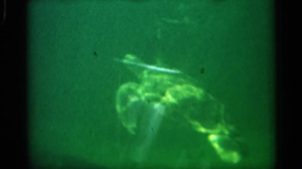 1958 Alabama 8mm frame showing a sea turtle in green-tinted aquarium water, filmed through glass with grain and dim tank shadows.