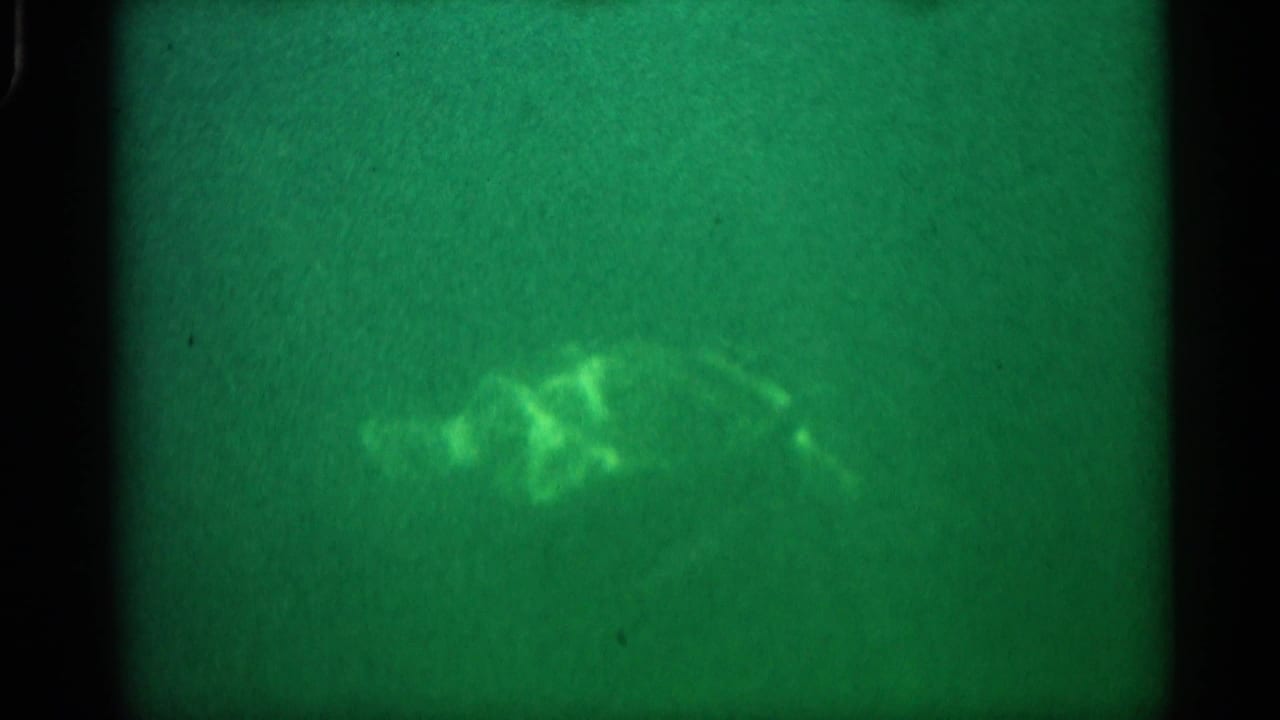 1958 Alabama 8mm underwater frame with a sea turtle-like animal faintly visible in green, grainy water.