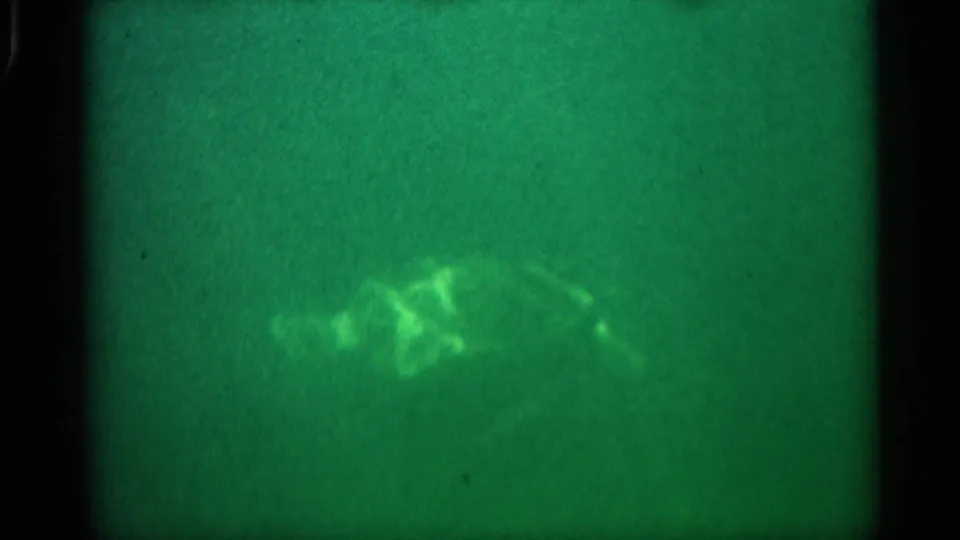 1958 Alabama 8mm underwater frame with a sea turtle-like animal faintly visible in green, grainy water.