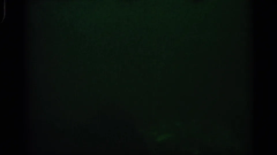 1958 Alabama 8mm underwater frame with murky green water and a faint animal-like shape near the lower right.