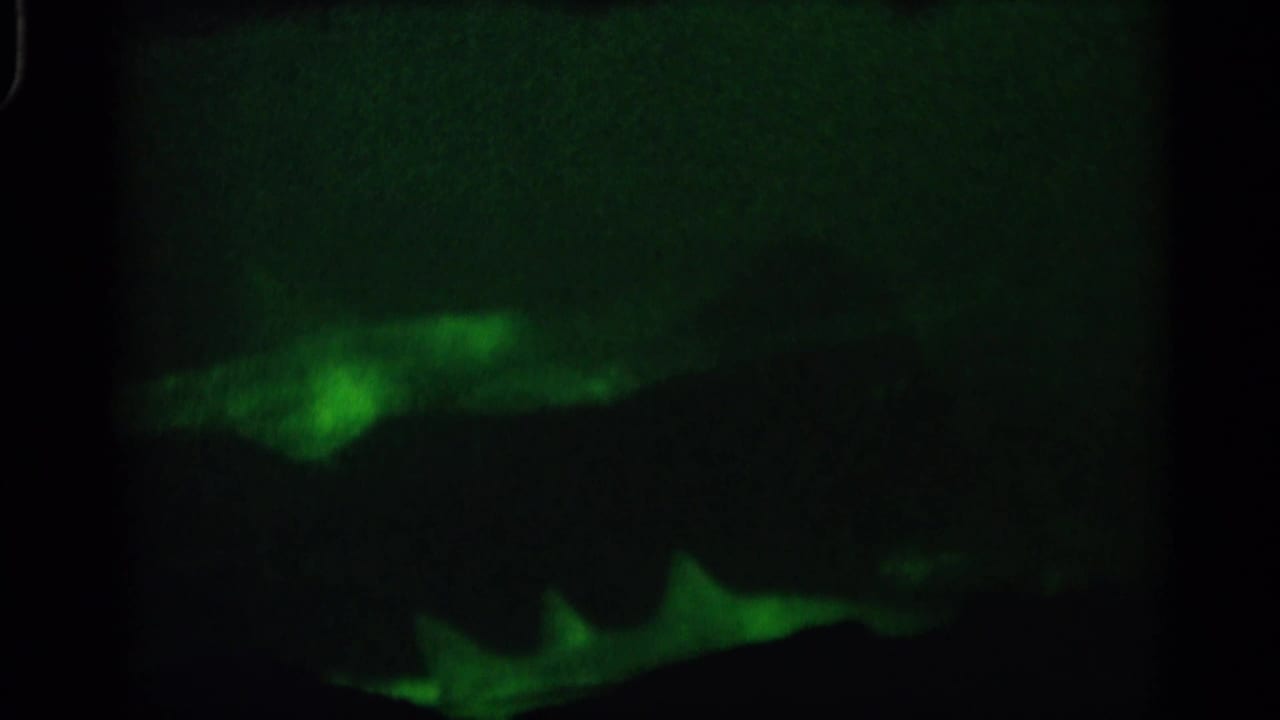 1958 Alabama 8mm frame showing dim green underwater footage with a fish-like silhouette moving through shadowed water.