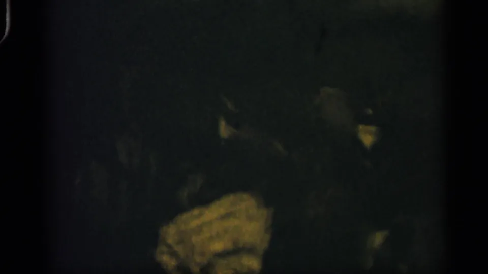 1958 Alabama 8mm frame with faint marine forms barely visible in dark green and yellow underwater light.