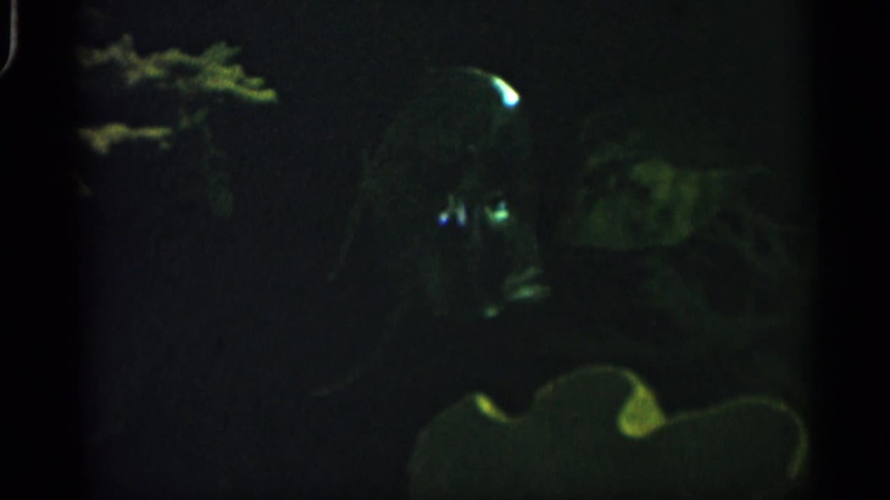 A dim 1958 Alabama aquarium view shows dark water, faint aquatic forms, and small green-white reflections on the glass or surface.