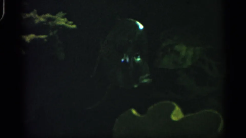 A dim 1958 Alabama aquarium view shows dark water, faint aquatic forms, and small green-white reflections on the glass or surface.