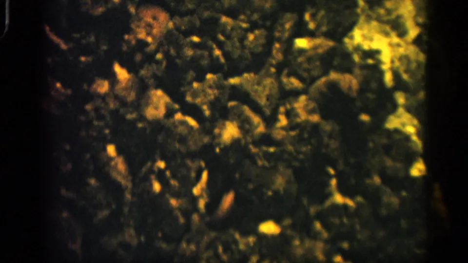 The frame shows aquarium gravel, coral-like rock, and murky yellow-green light, with aquatic forms hard to distinguish.