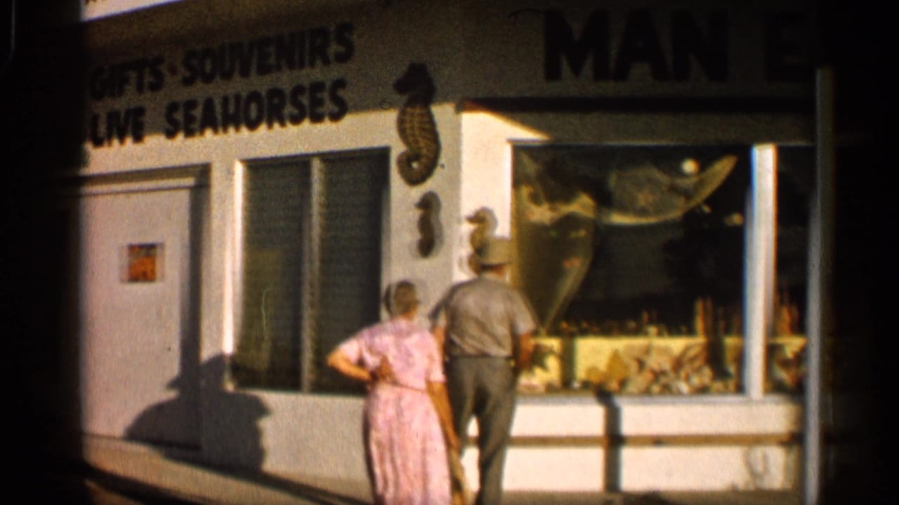 Two tourists stand near a shop window with seahorse decorations and souvenir signage.