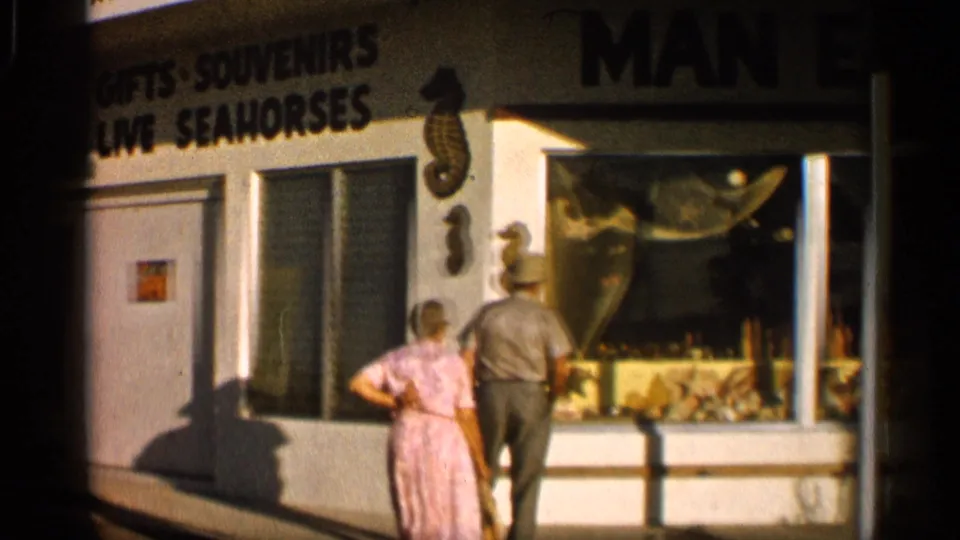 1958 Alabama frame of tourists looking at a shellcrafting souvenir shop window with signs for gifts and live seahorses.