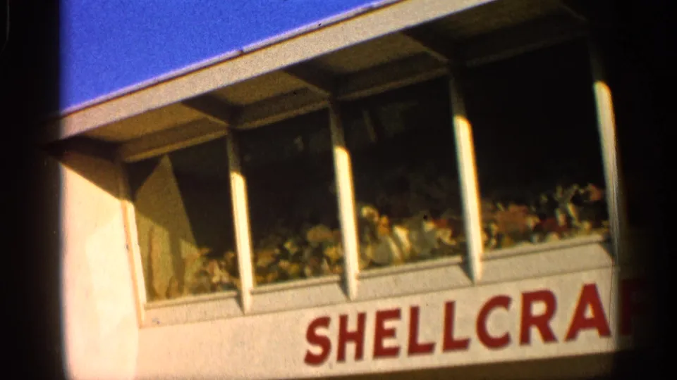 1958 Alabama home-movie view of shellcrafting shop display windows with shells and coral-like items behind glass.
