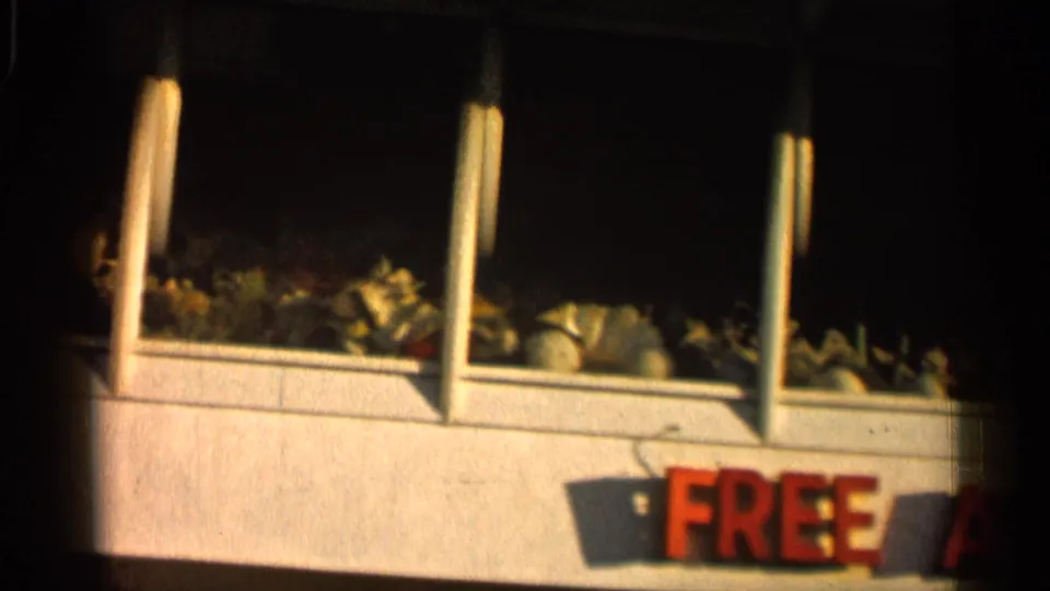 1958 Alabama frame showing shellcraft displays behind storefront glass and a partial red FREE sign below.