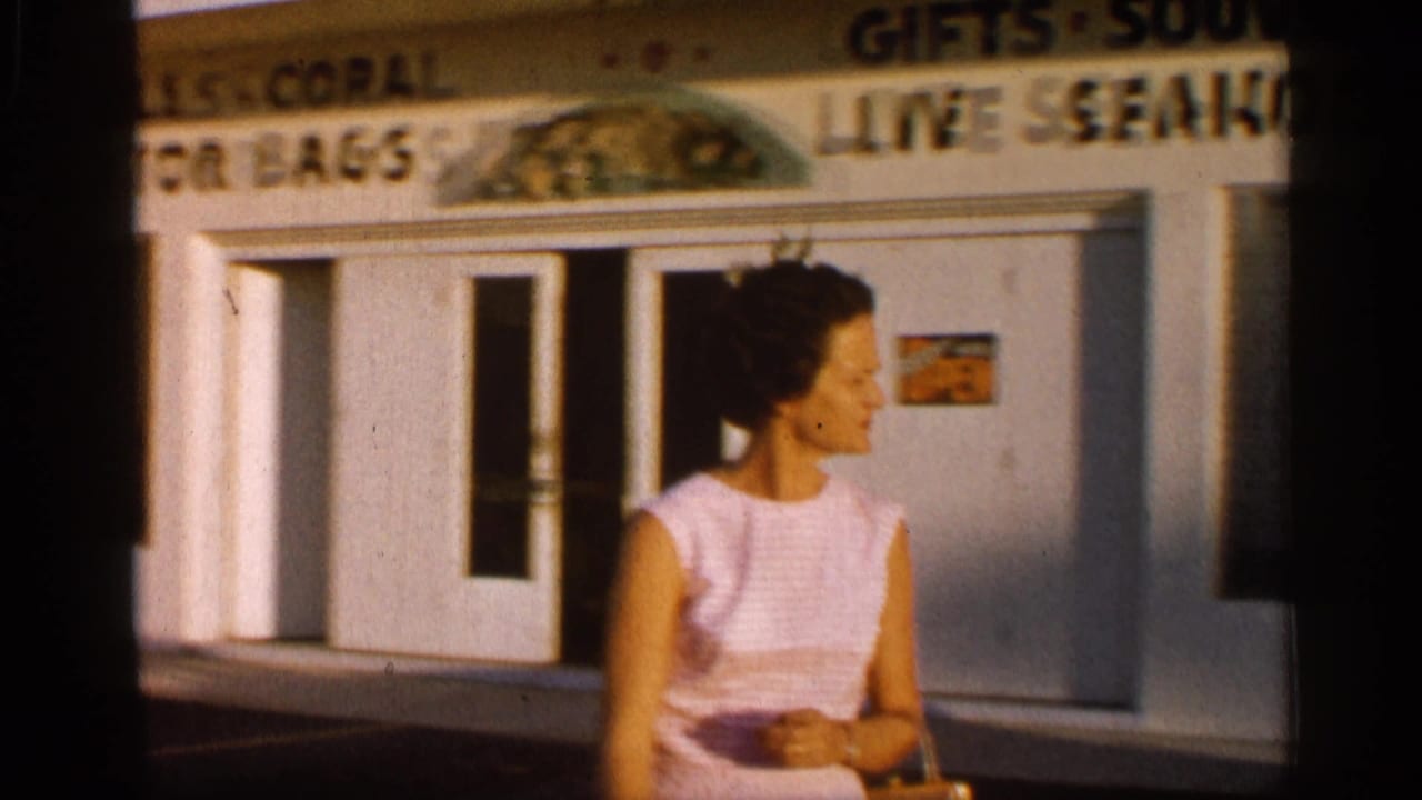 Woman in a pink sleeveless dress outside a souvenir shop with shell and live seahorse signage.