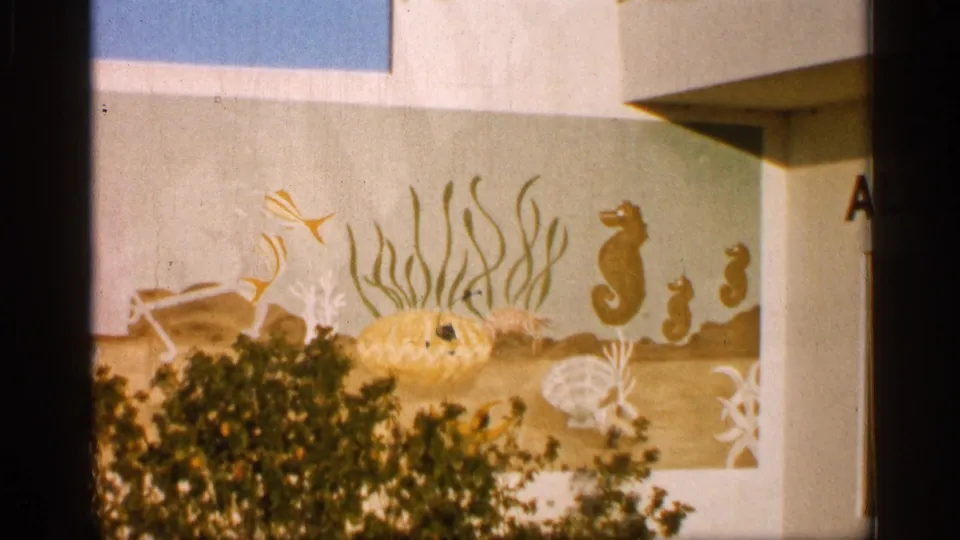1958 Alabama home-movie view of the souvenir shop mural, with painted shells, seahorses, seaweed, fish, and shrubs along the wall.