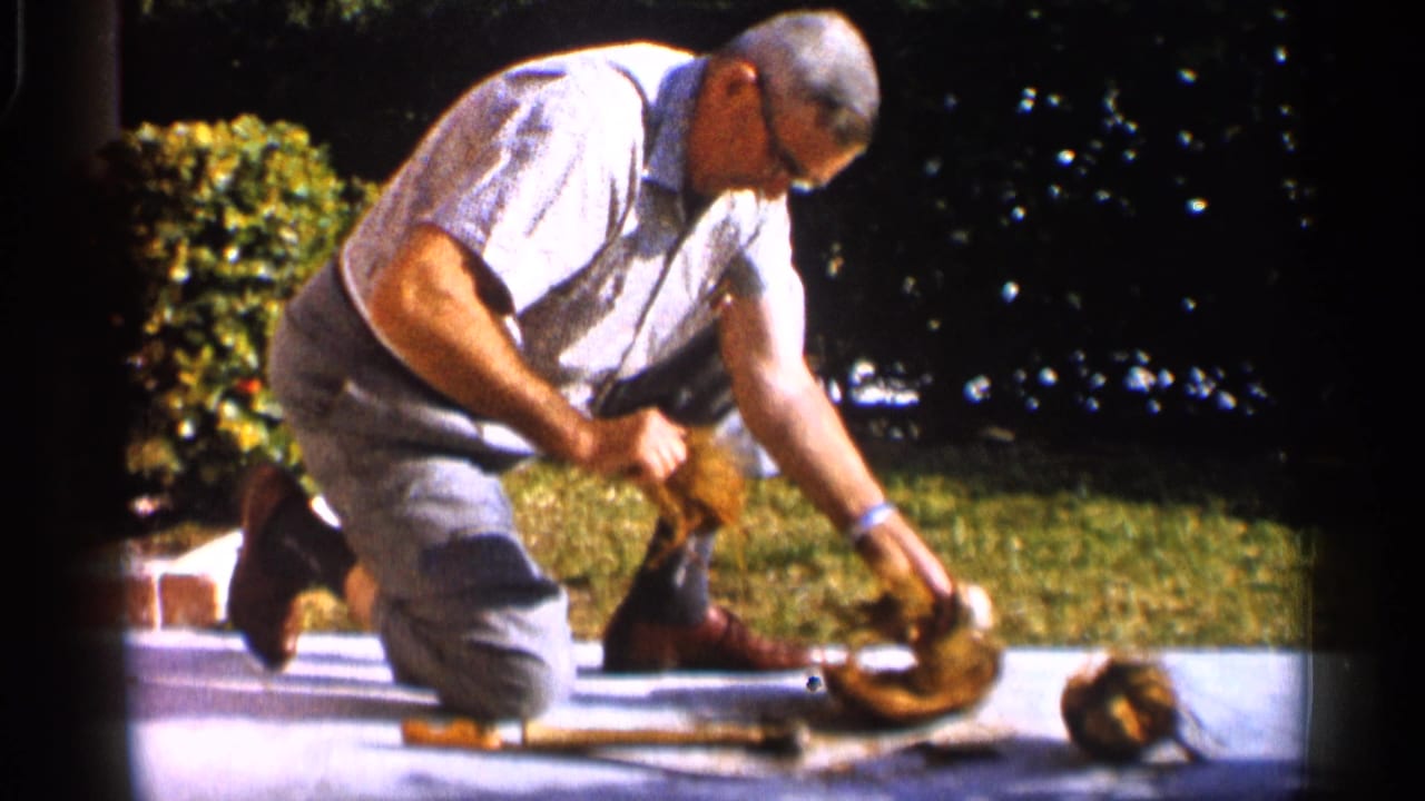 The man leans over the coconut on a sunny Alabama driveway, with grass and dark shrubs behind him in the 8mm frame.