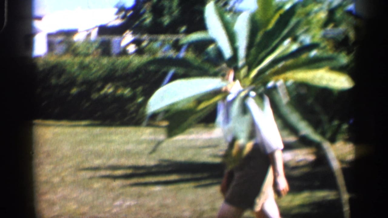 Barefoot adult partly hidden by a large tropical-looking plant on a sunny lawn.