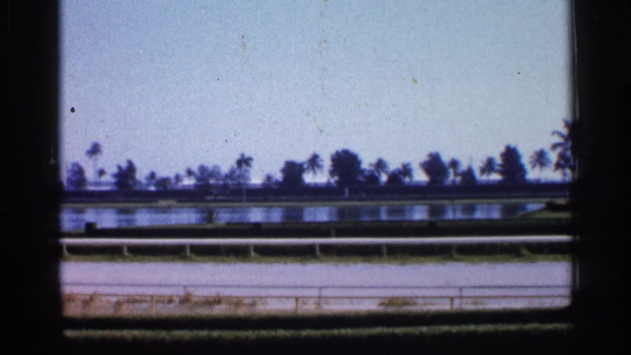 1958 Alabama 8mm frame looking across a racetrack rail and water toward a line of palms in bright daylight.
