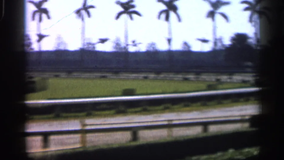 1958 Alabama 8mm frame with palm trees, grass, water, and racetrack rail passing through a soft handheld pan.
