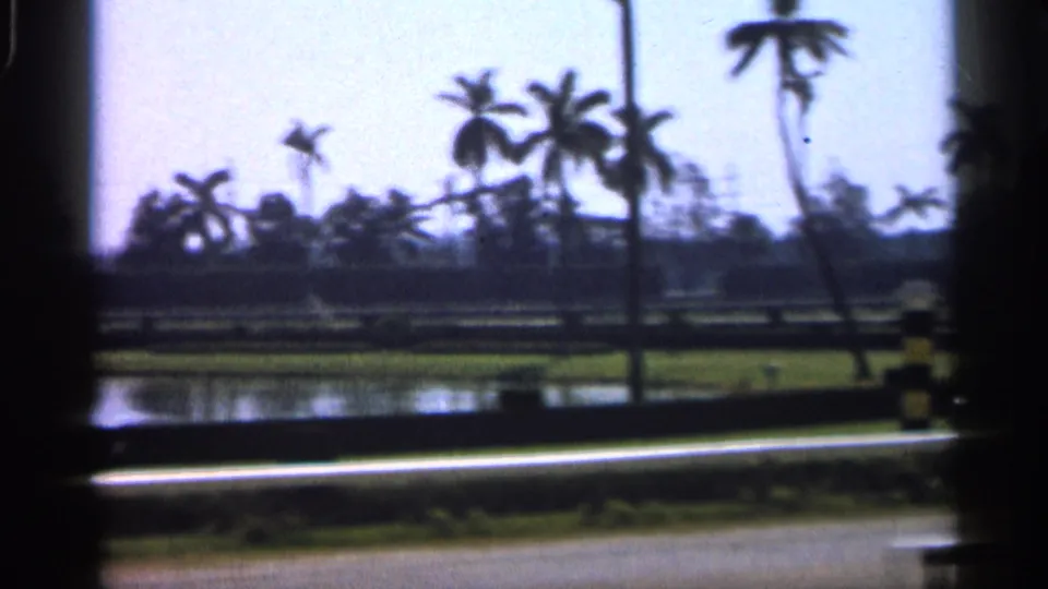 1958 Alabama 8mm frame showing palms, water, grass, and a racetrack rail in a sunny home-movie view.