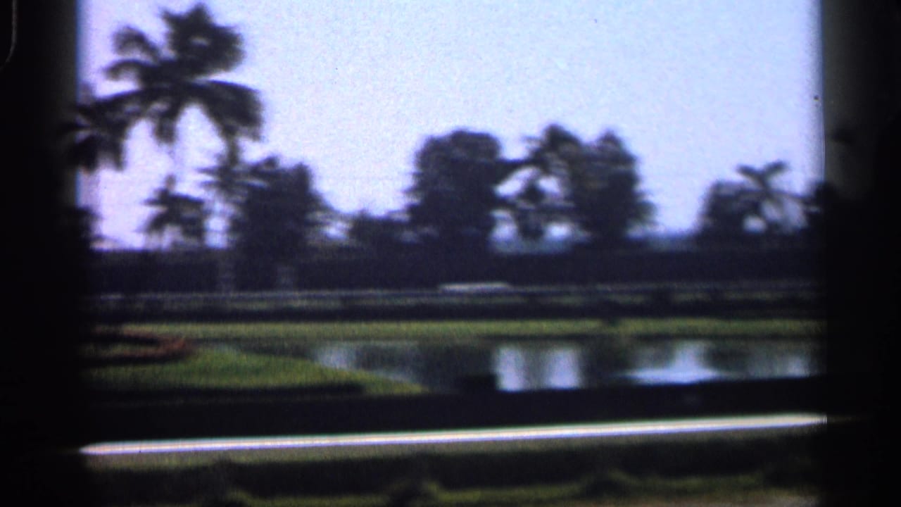 Palm trees and green grounds reflected in water, seen through a dark window or frame edge.
