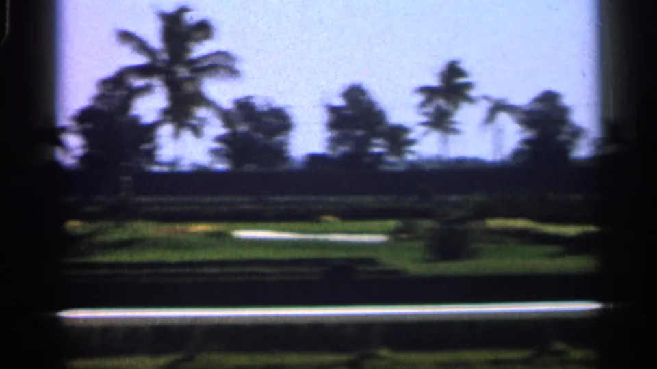 Palm-lined landscape in 1958 Alabama-linked home-movie footage, viewed from a moving position with dark edges in the foreground.