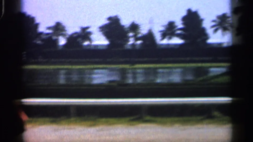 Alabama-linked 1958 8mm travel frame with palms, water, and a light beach or roadside foreground strip softened by motion.