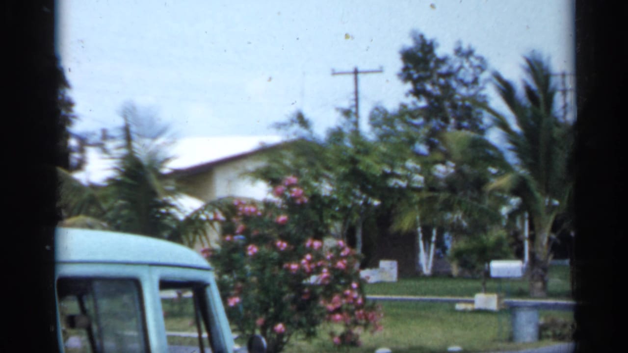 Florida residential street scene with palms, flowering shrubs, mailboxes, lawns, and the edge of a light vehicle in 1958 home-movie footage.