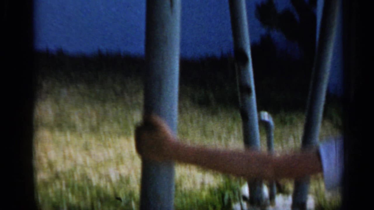 A close, handheld 1958 Florida home-movie view shows an arm reaching toward a pale vertical pole beside grass and shadowed background.