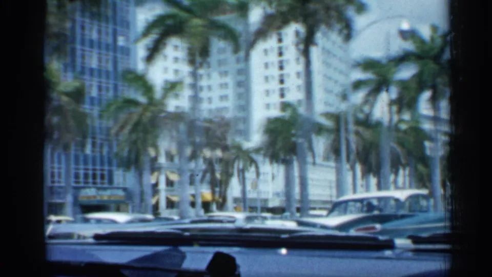 Inside-car view of a palm-lined Florida street with parked and moving cars, high-rise buildings, and dashboard visible at the bottom.