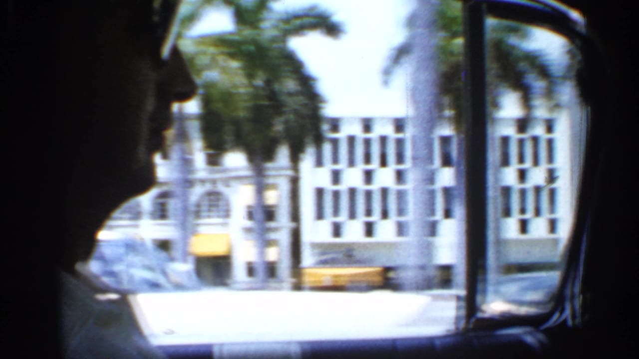 Profile silhouette inside a car with palm trees, white buildings, and parked cars outside.