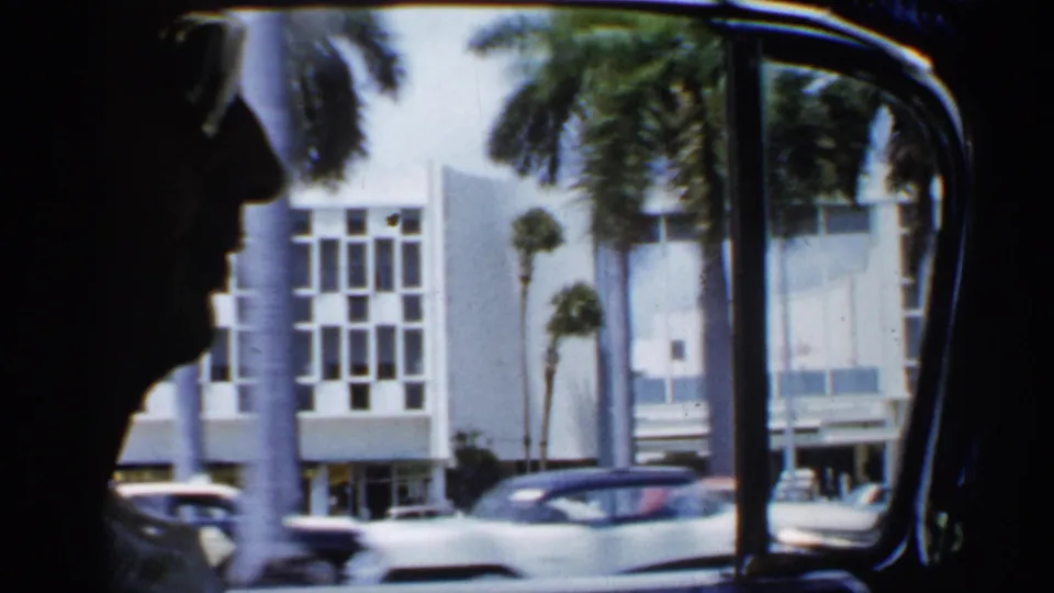 From inside the car, a silhouetted occupant is seen beside a window looking out toward palm trees, a modern building facade, and older cars.