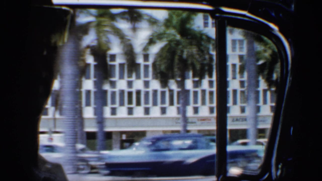 Silhouetted car occupants look past a window toward palm trees, buildings, and passing traffic.