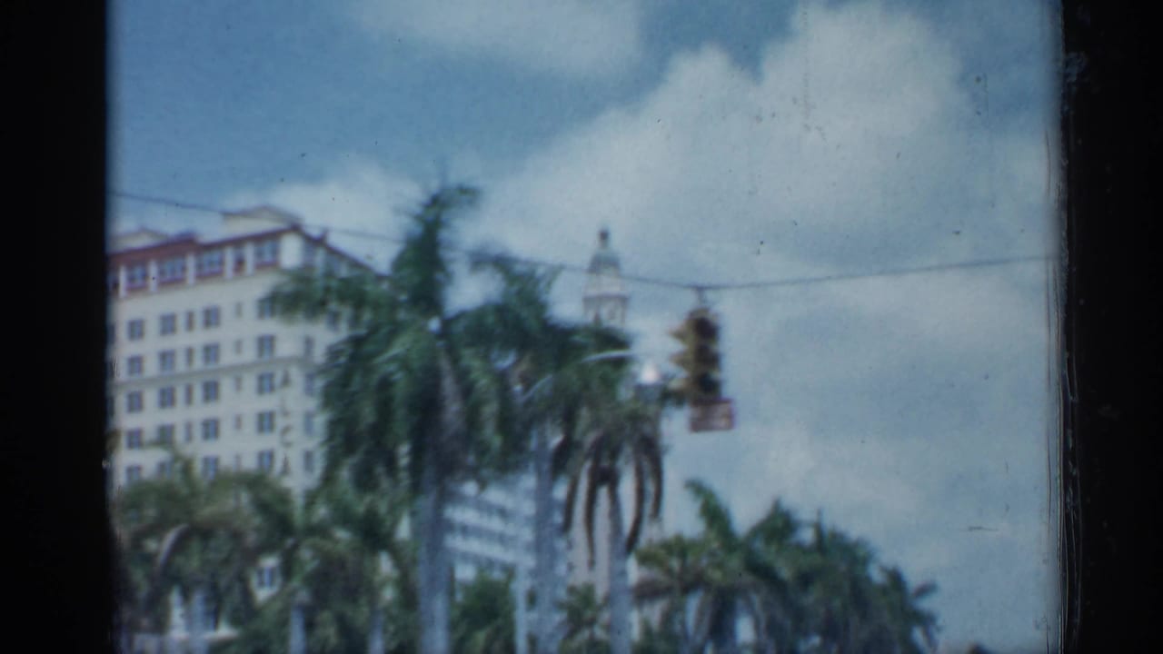 1958 Florida downtown view with palm trees, a white multi-story building, overhead wires, and a traffic light in soft 8mm color.