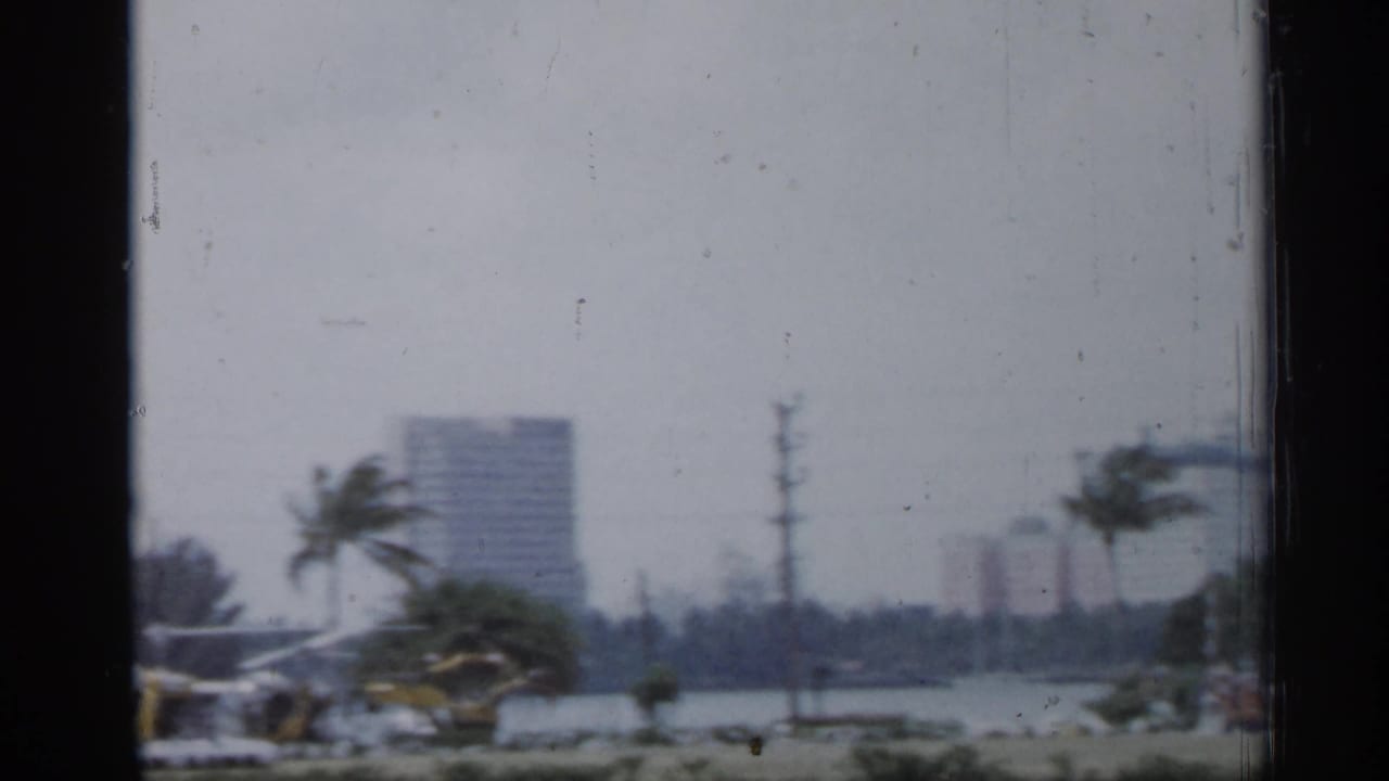 Distant waterfront city view with palm trees, utility poles, low structures, and a high-rise building.