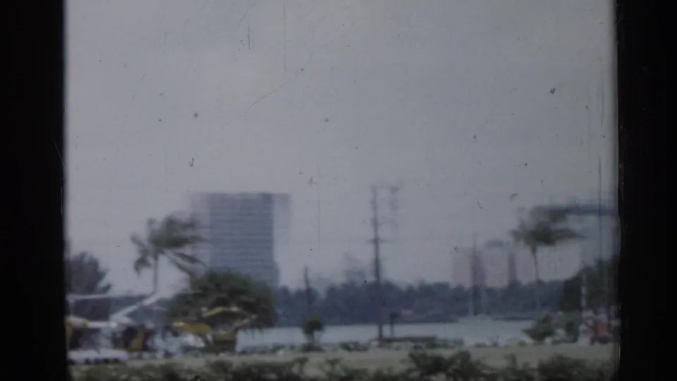 Soft 1958 Florida frame showing a waterfront edge, palms, utility poles, a blocky high-rise, and low city structures in the foreground.