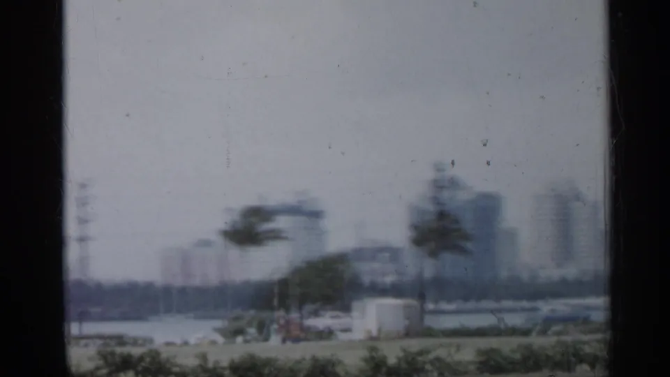 1958 Florida city view with open grass in front, palm trees, a pale cylindrical structure, water, and distant high-rise buildings along the skyline.